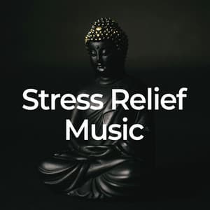 Stress Relief Music - Relieve Stress Music Academy