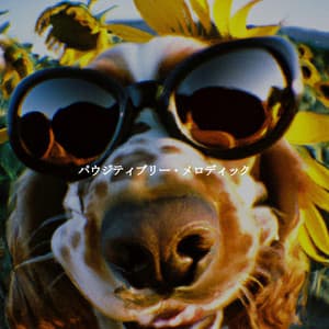 パウジティブリー・メロディック - French Cafe Jazz Chill