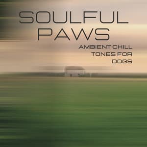 Soulful Paws: Ambient Chill Tones for Dogs - Light Morning Music