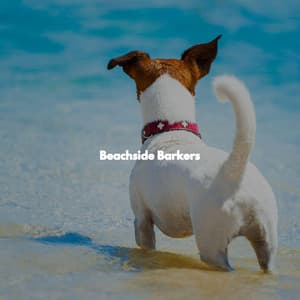 Beachside Barkers - Soft Romantic Jazz