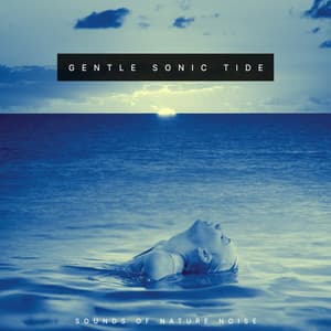 Gentle Sonic Tide - Sounds of Nature Noise