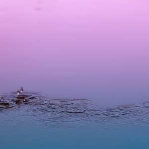 365 Rainfall: Ethereal Calm - Meditation Rain Sounds