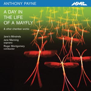 A Day in the Life of a Mayfly - Anthony Payne