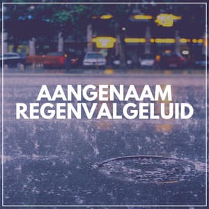 Aangenaam Regenvalgeluid - Geluiden van de Regen