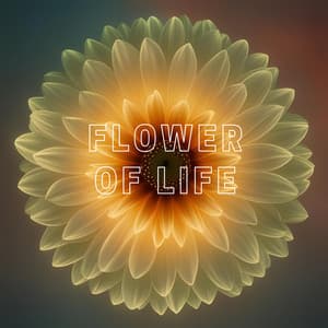 Flower of Life - Harmony Touch