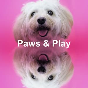 Paws & Play - Dogs music