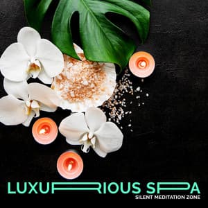 Luxurious Spa - Silent Meditation Zone