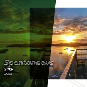 zZz Spontaneous Silky Music zZz - Palm Analogue