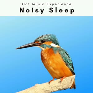 1 Noisy Sleep - Cat Music Experience