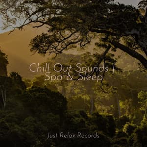 Chill Out Sounds | Spa & Sleep - Chakra Balancing Sound Therapy
