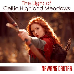 The Light of Celtic Highland Meadows: Celtic Lands, The Celtic Chillout Album, Celtic Lullaby, The Ancient Woods and Rocks - Nawang Dautar