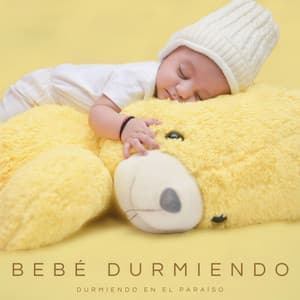 Bebé Durmiendo: Durmiendo En El Paraíso - Canciones De Cuna