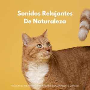 Abrazo De La Naturaleza: Sonidos Relajantes De Naturaleza Para Los Gatos - Naturaleza FX