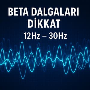Beta Dalgaları Dikkat - Din Rüyaları