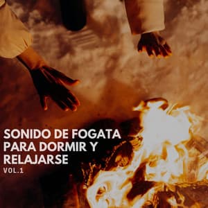 Sonido de Fogata para Dormir y Relajarse Vol. 1 - Música para Dormir Con Relajantes Sonidos de la Naturaleza