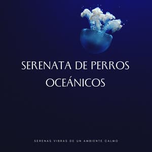 Serenata De Perros Oceánicos: Serenas Vibras De Un Ambiente Calmo - Sonidos del océano Efectos especiales