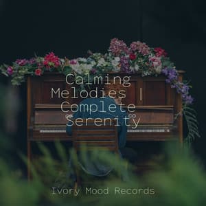 Calming Melodies | Complete Serenity - Ivory Mood