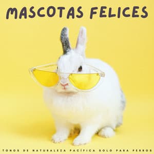 Mascotas Felices: Sonidos Relajantes De La Naturaleza Para Calmar A Gatos Y Perros - Canal de la Naturaleza sin Interrupción