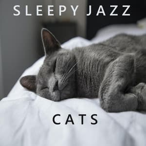 Sleepy Jazz Cats - Cool Vibes Jazz