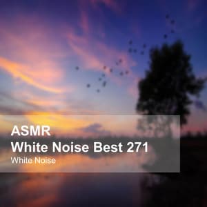 White Noise ASMR Best 271 - White Noise