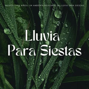 Música Para Niños: Un Ambiente Relajante De Lluvia Para Siestas - Lluvia PQ