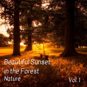 Nature: Beautiful Sunset in the Forest Vol. 1 - Nature Calm