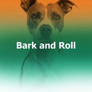 Bark and Roll - Dogs Music Therapy