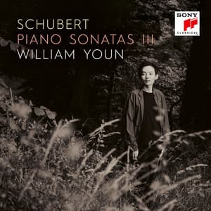 Schubert: Piano Sonatas III - Franz Schubert