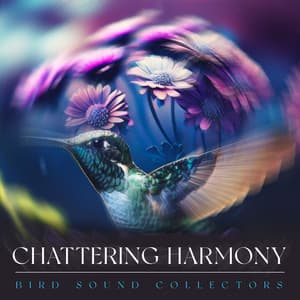 Chattering Harmony - Bird Sound Collectors