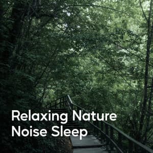 Relaxing Nature Noise Sleep - Exclusive Nature