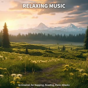 #01 Relaxing Music to Unwind, for Napping, Reading, Panic Attacks - Relaxing Music for Reading