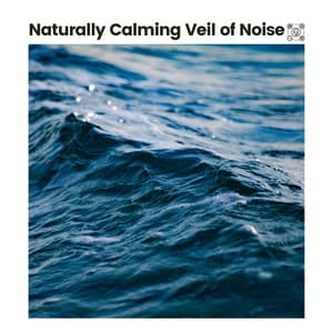 Naturally Calming Veil of Noise - Relaxing Ocean Sounds