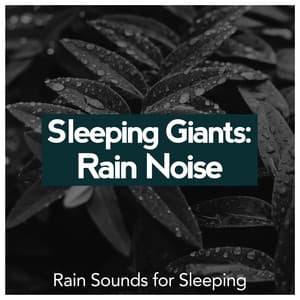 Sleeping Giants: Rain Noise - Rain Sounds for Sleeping