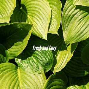 Fresh and Cozy - Super Jazz Cafe Music