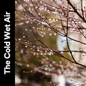 The Cold Wet Air - Baby Sleep Rain