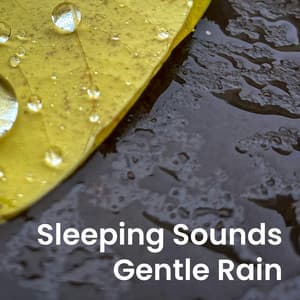 Sleeping Sounds: Gentle Rain - Worldwide Nature Studios