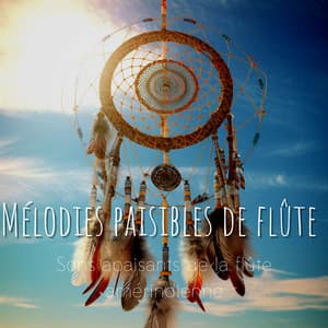 Mélodies paisibles de flûte: Sons apaisants de la flûte amérindienne, Harmonies sereines et énergie positive édifiante - Club de Détendre Amérindien