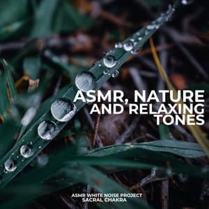 Asmr, Nature and Relaxing Tones - ASMR White Noise Project