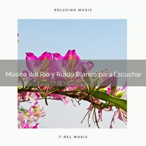 Música del Río y Ruido Blanco para Escuchar - Ruido Blanco Para Estudiar