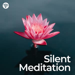 Silent Meditation - Relaxamento profundo