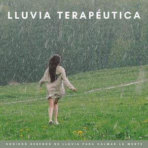 Lluvia Terapéutica: Sonidos Serenos De Lluvia Para Calmar La Mente - Lluvia en el Bosque