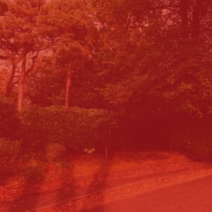 Music for After Hours Work - Inspiring No Drums Jazz - Jazzy Mornings