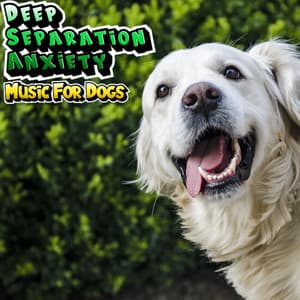 Music For Anxious & Stressed Dogs - Doggy Stress Relief - Deep Separation Anxiety Music For Dogs
