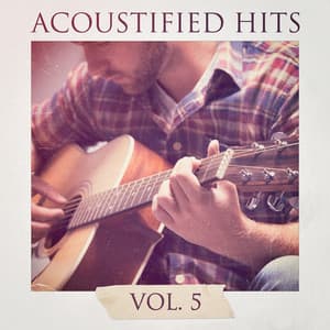 Acoustified Hits, Vol. 5 - 60's 70's 80's 90's Hits