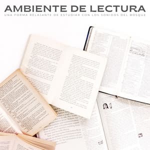 Ambiente De Lectura: Una Forma Relajante De Estudiar Con Los Sonidos Del Bosque - Grabaciones meteorológicas y de la naturaleza