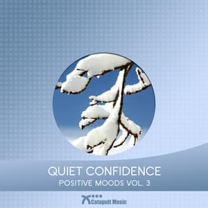 Quiet Confidence - Martin Haene