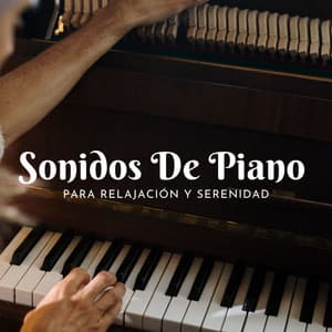 Sonidos De Piano Para Relajación Y Serenidad - Novela para piano