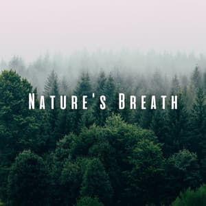 Nature's Breath: Gentle Ambient Sounds for Meditation Practice - Actors of Nature