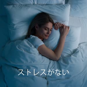 ストレスがない, ただ静かに眠るだけ - Jani Pay