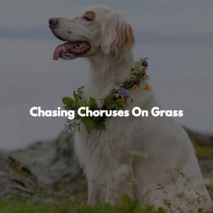 Chasing Choruses On Grass - Background Relaxing Jazz